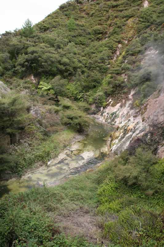 Nieuw-Zeeland 2011 - 0722